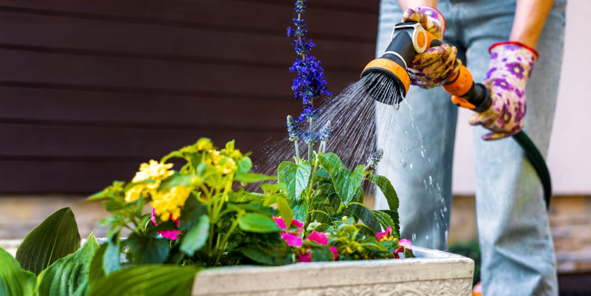 Person watering flower bed with hose